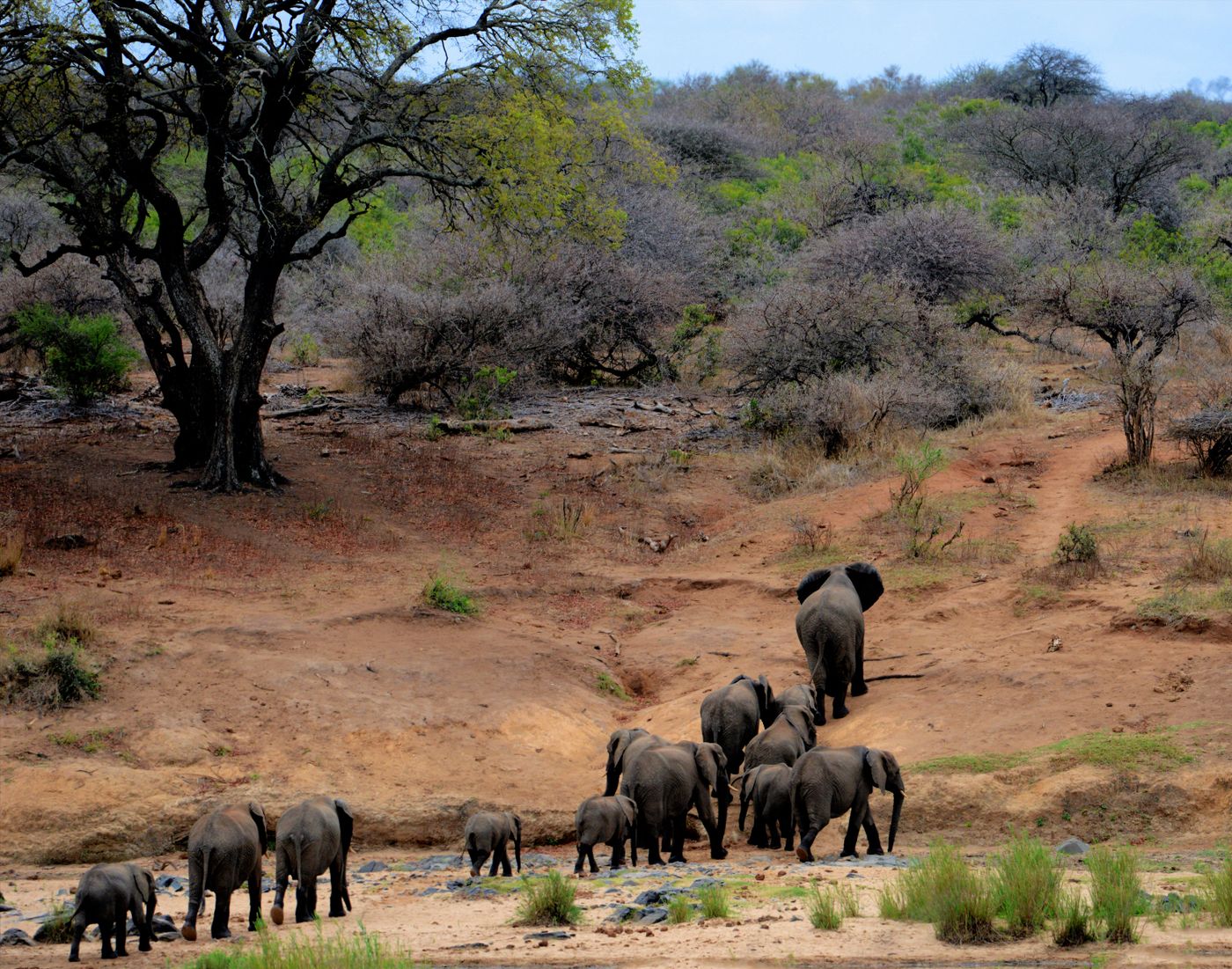 South Africa Family Tour, photo 2 of 5