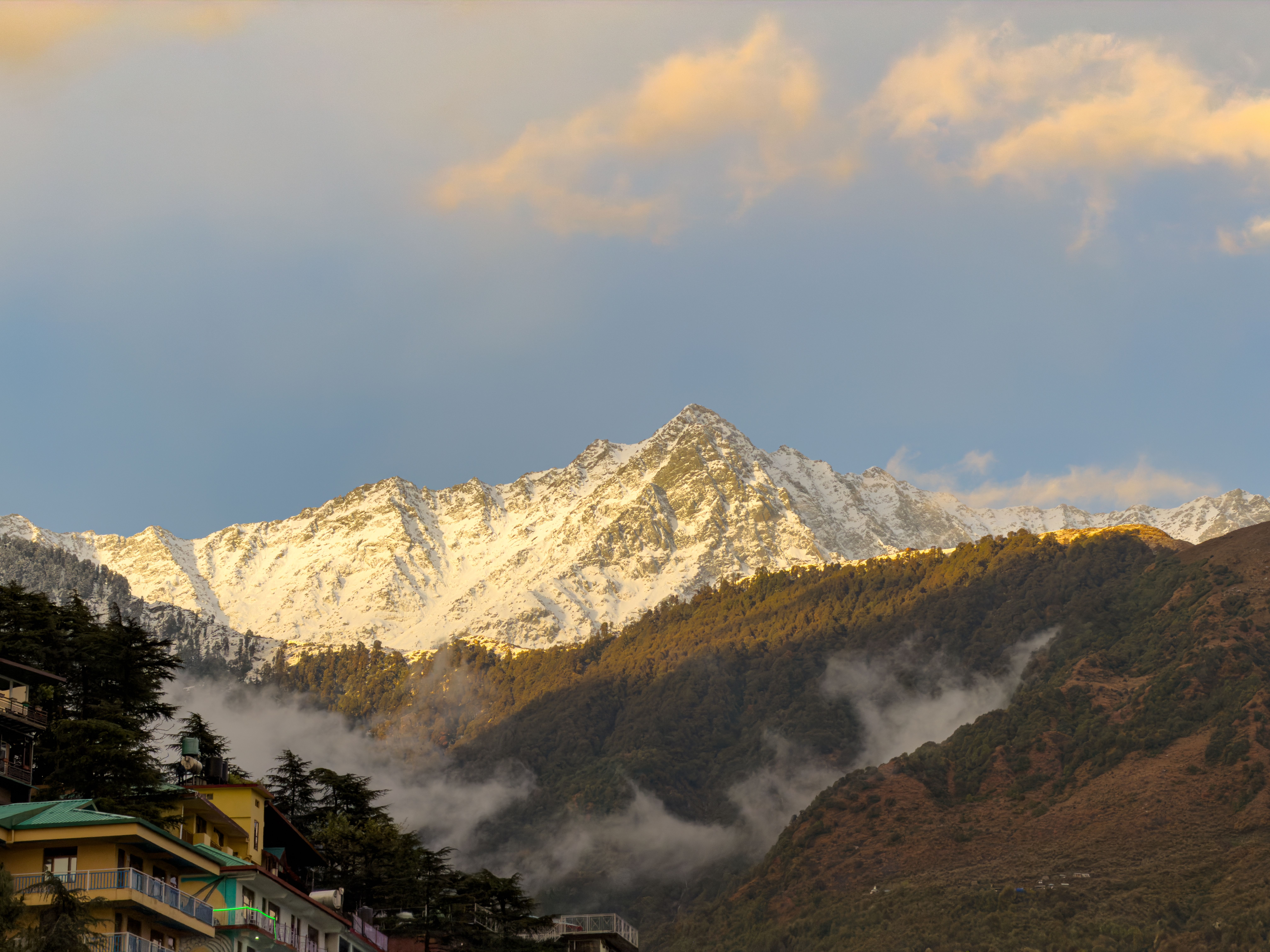 Shimla • Manali • Dharamshala Explorer