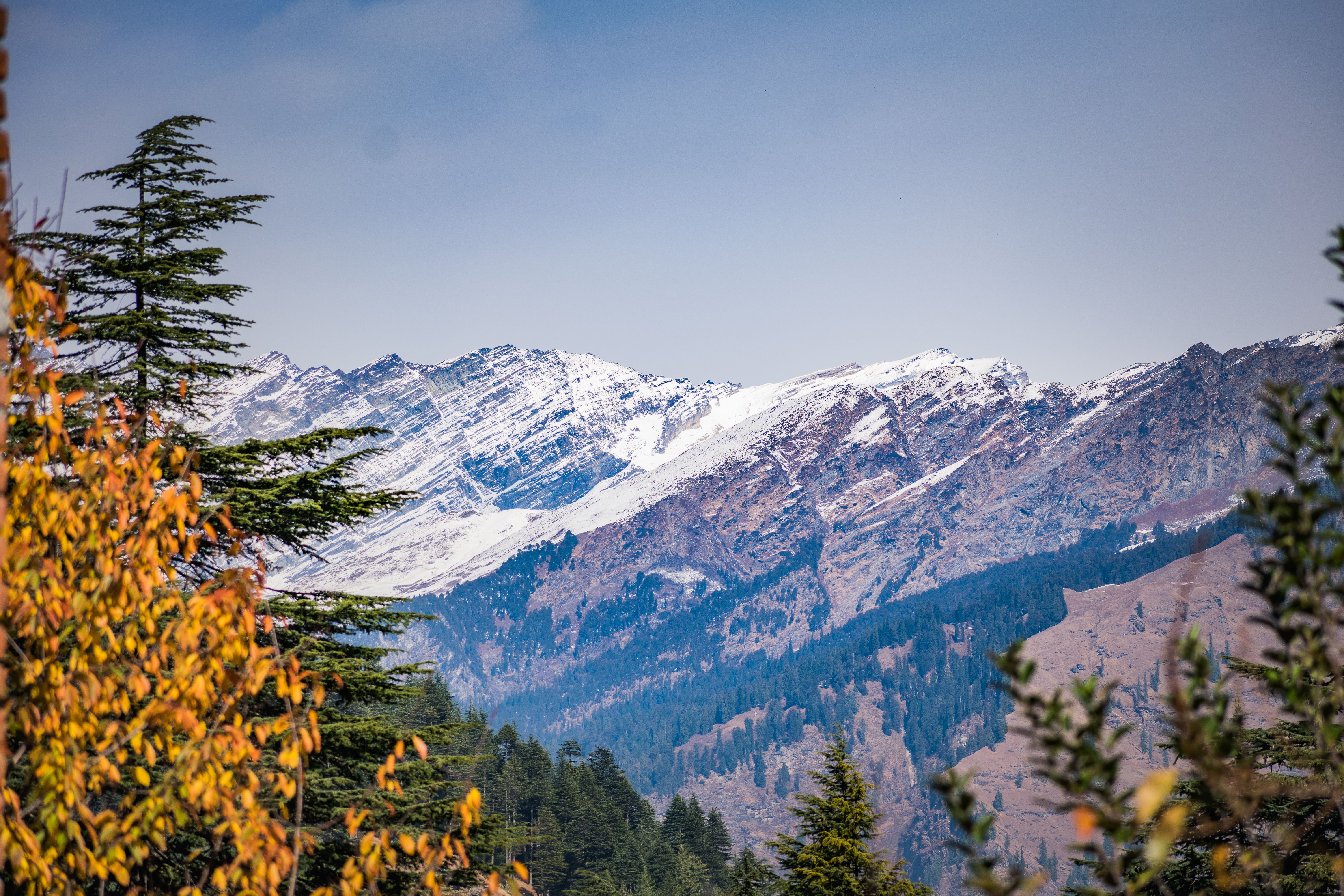 Shimla Manali Classic Alpine Luxury & Escapes
