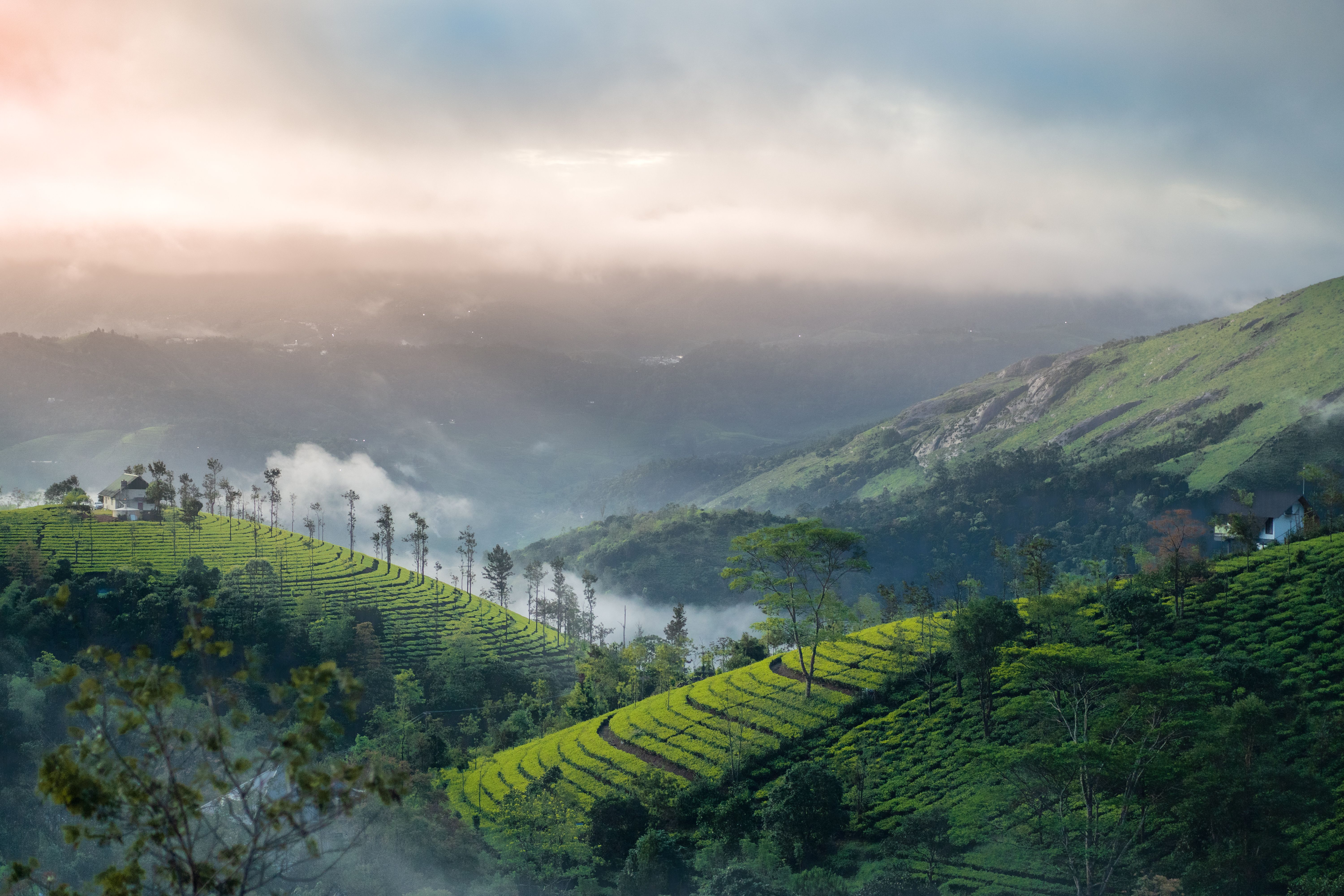 Munnar Kochi Family Hill Station & Heritage Escape