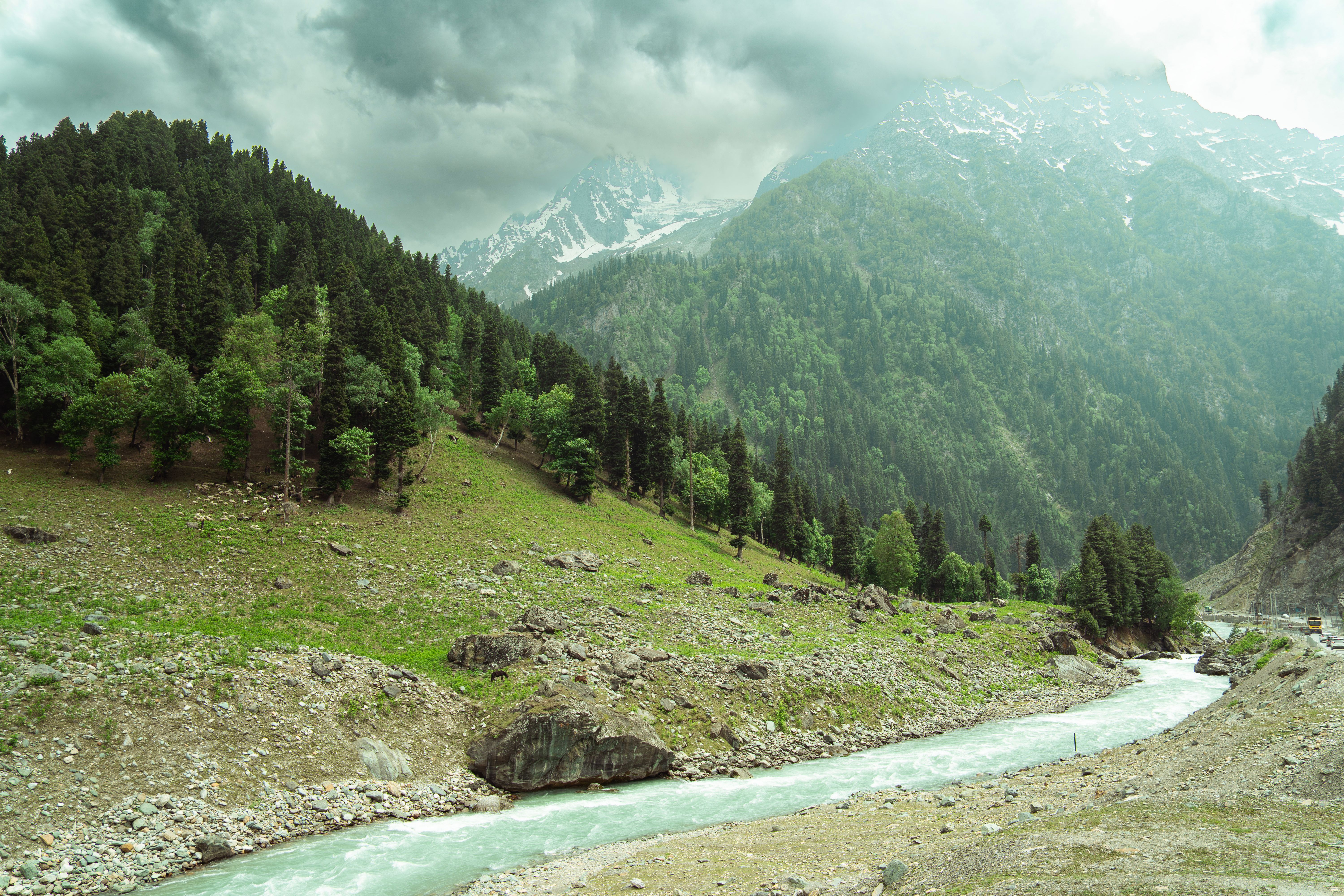 Luxury Kashmir Escape Sonamarg, Gulmarg & Palace Stays