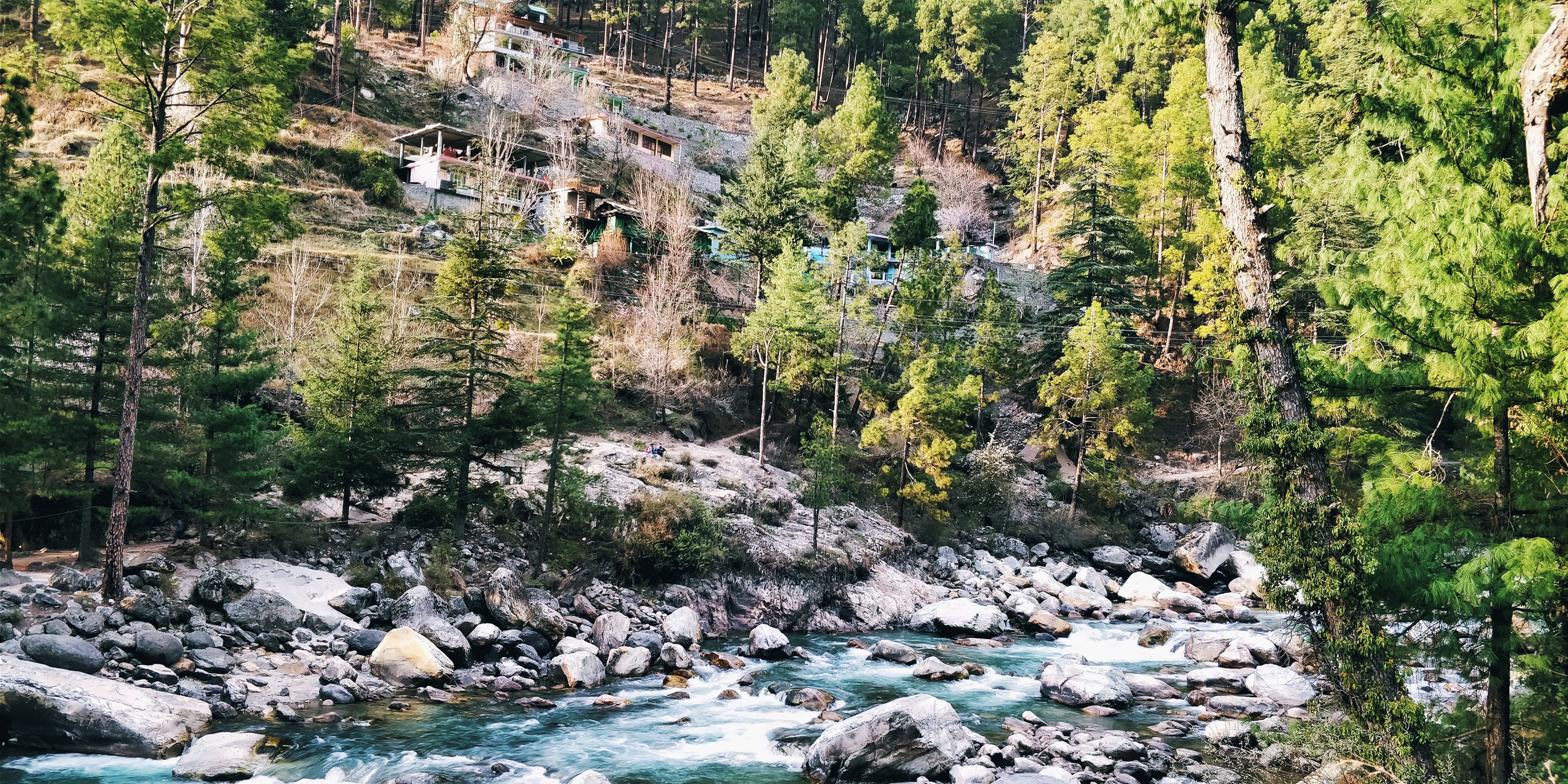Shimla Kasol Delight The Royal Ridge to the Mystic Valley